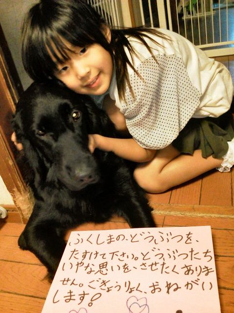 命の尊さ