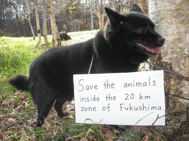 早く助けて