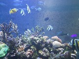 84d84530.jpg