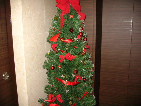 2010_1217_124042AA