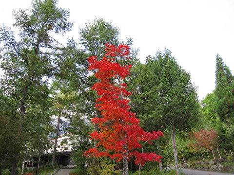2011_1010_145919AA