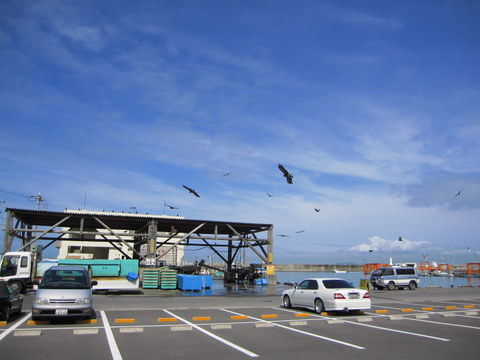 2011_0724_085242AA