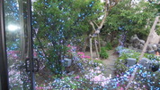 DSCF0028