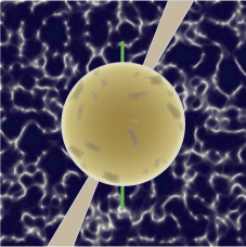 中性子星イラ