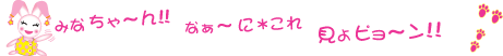 Pitta用うちゃピン-5