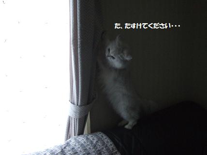 2009_1025�ߤ夦0049