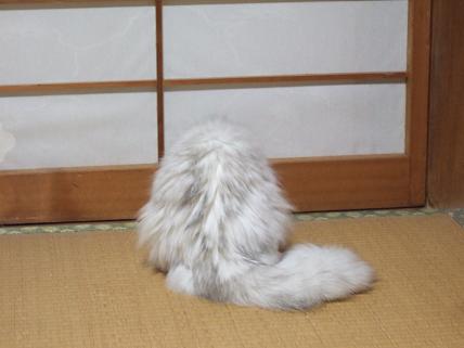 2009_0720��ĥLIVESTAND���ߤ夦0014