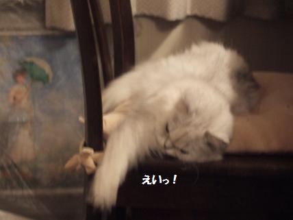 2009_0919�ߤ夦0007