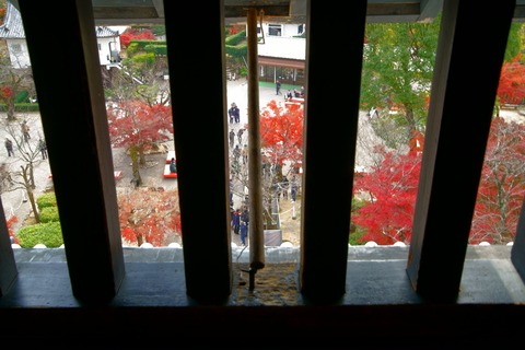 resize_DSC01105
