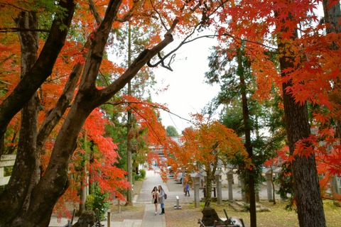 resize_DSC01015