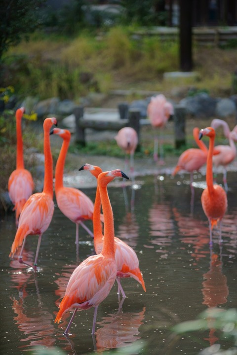 resize_DSC01967