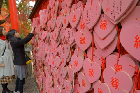 resize_DSC01018