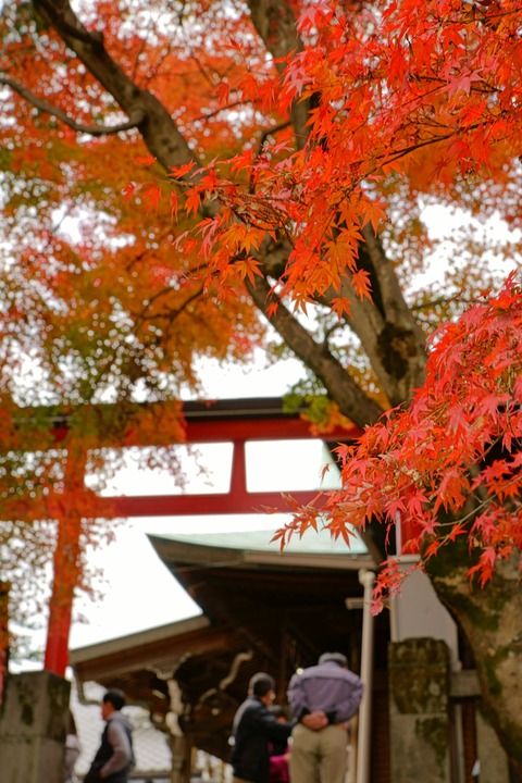 resize_DSC01003
