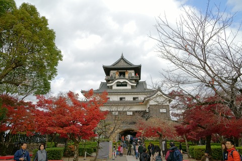 resize_DSC01059