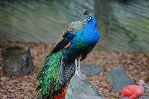 resize_DSC01810