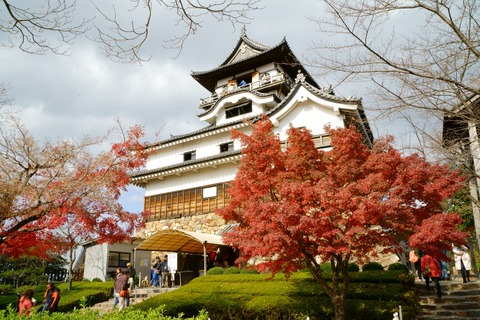 resize_DSC01122