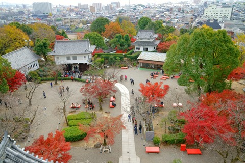 resize_DSC01096