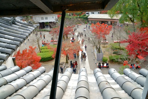 resize_DSC01114