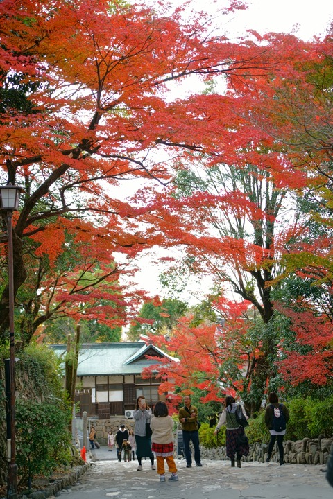 resize_DSC01211
