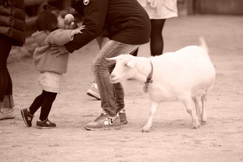 resize_DSC01856