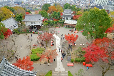 resize_DSC01099