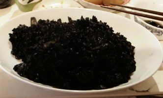 L01B0019