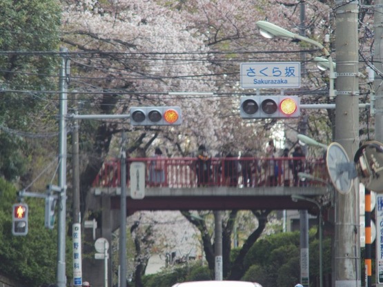 99844ede