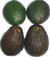 bb2fb8b2.jpg