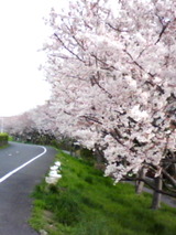 2011����褤