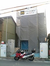 09881e31.jpg