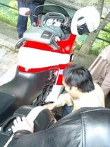 72b649ae.jpg