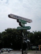 83d01633.jpg