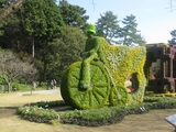 �;��⥶��������㡼��2009