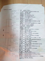 23b3a989.jpg