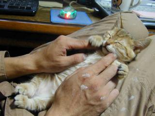 20061101べー