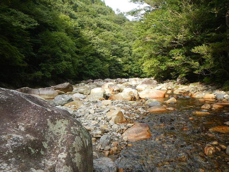 DSCN7045