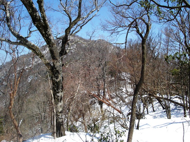 縦走路より桑原山