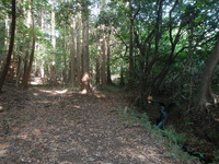DSCN7817