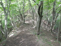 DSCN7839
