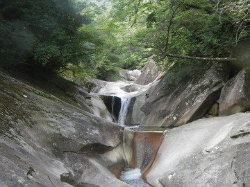 DSCN7055