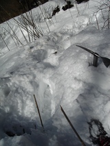 雪1