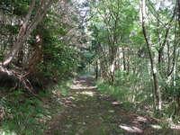 DSCN7824