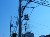 P1010345