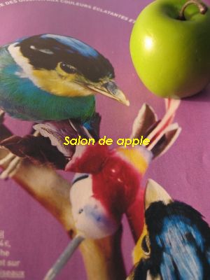 ¥«¥é¥Õ¥ë¥¤¥ó¥³¤Á¤ã¤ó¤Èɱ