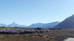 35361751_1802461906515229_6619849040538370048_n