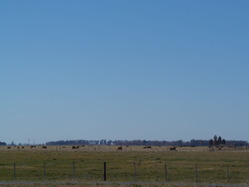 P8052350