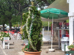 DSC09290