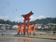DSC09516