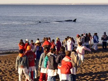 Los chicos de PM dan la bienvenida a los gigantes del mar 1 (1)