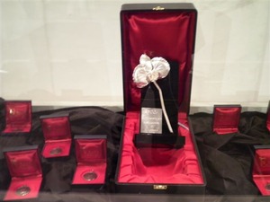 SANY0365